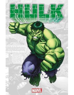 MARVEL-VERSE HULK