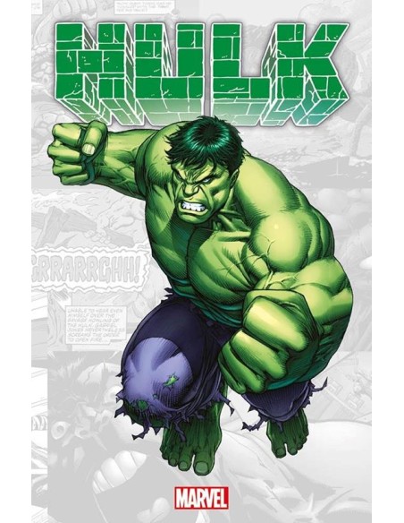 MARVEL-VERSE HULK