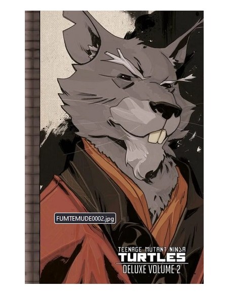 TEENAGE MUTANT NINJA TURTLES DELUXE VOL. 2