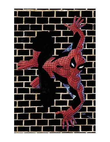 SPIDER-MAN 815 VARIANT DI FRANK MILLER - AMAZING SPIDER-MAN 15