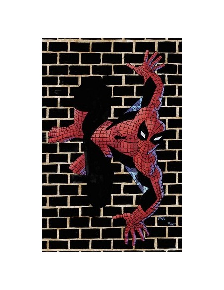 SPIDER-MAN 815 VARIANT DI FRANK MILLER - AMAZING SPIDER-MAN 15