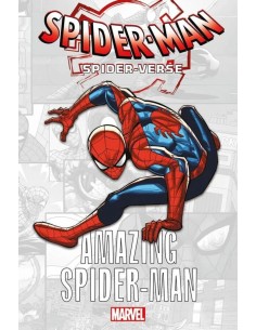 SPIDER-VERSE AMAZING SPIDER-MAN
