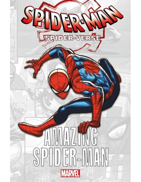 SPIDER-VERSE AMAZING SPIDER-MAN