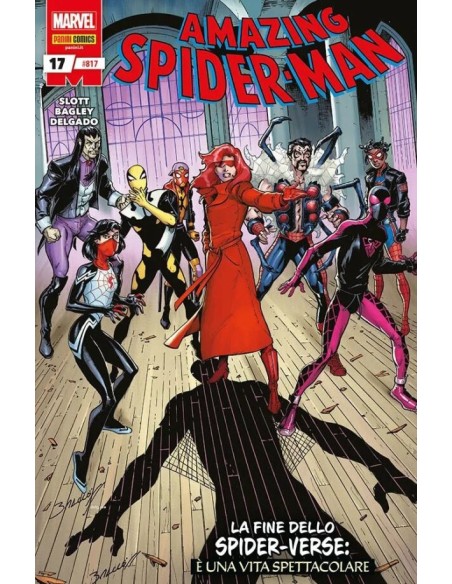 SPIDER-MAN 817 - AMAZING SPIDER-MAN 17