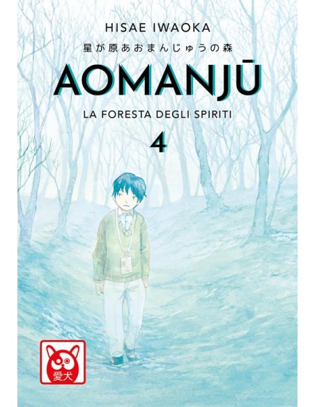 AOMANJU 4