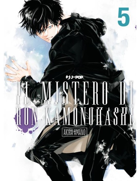 IL MISTERO DI RON KAMONOHASHI 5 (di 19)