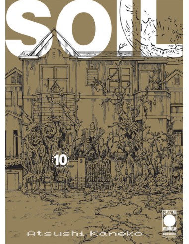 SOIL 10 RISTAMPA