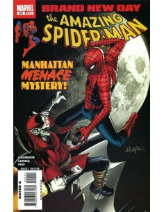 SPIDER-MAN - L`UOMO RAGNO 493