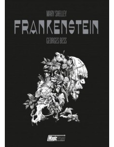 FRANKENSTEIN DI GEORGES BESS