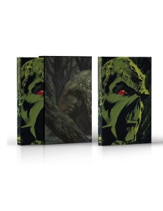 DC ABSOLUTE SWAMP THING DI WEIN E WRIGHTSON