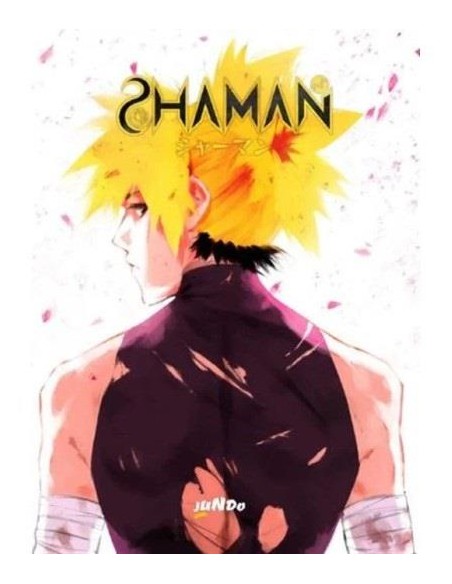 SHAMAN 2