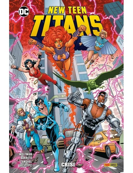 NEW TEEN TITANS DI WOLFMAN & PEREZ VOL. 10 CRISI