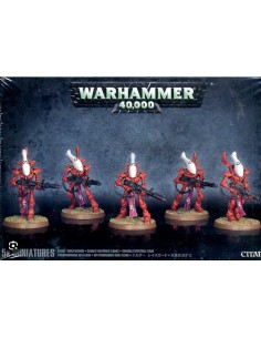 ELDAR WRAITHGUARD - WARHAMMER 40.000
