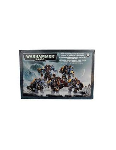 WARHAMMER 40.000 - GUARDIA DEL LUPO TERMINATOR