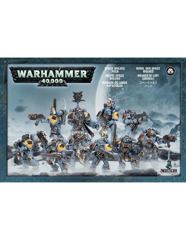 WARHAMMER 40.000 SPACE WOLVES PACK