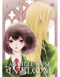 A WHITE ROSE IN BLOOM 1 - QUEER 88