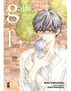 SE I GATTI SCOMPARISSERO DAL MONDO 1 (di 4) - AMICI 309