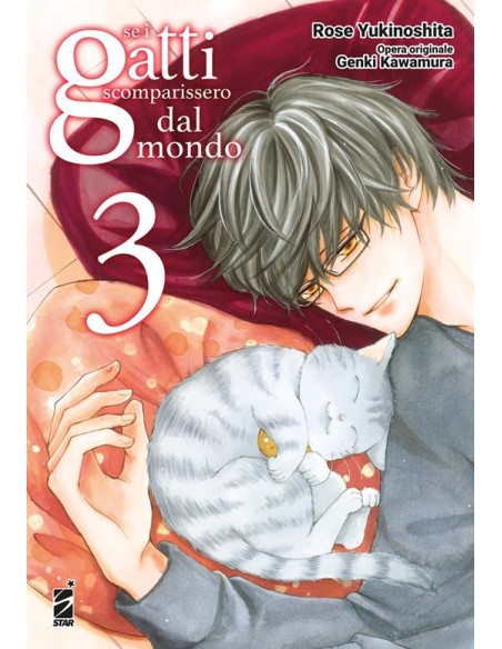 SE I GATTI SCOMPARISSERO DAL MONDO 3 (di 4) - AMICI 312