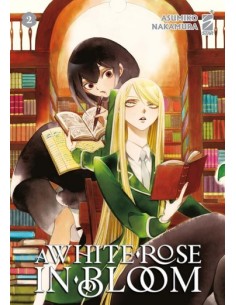 A WHITE ROSE IN BLOOM 2 - QUEER 89