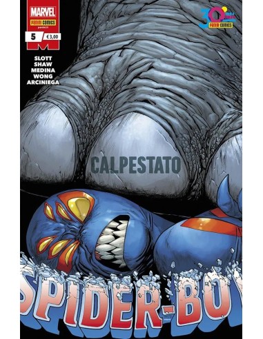 SPIDER-BOY 5