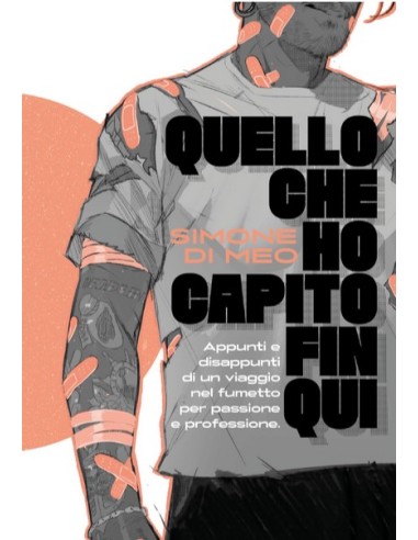 QUELLO CHE HO CAPITO FIN QUI