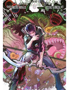 FINAL FANTASY: LOST STRANGER 11