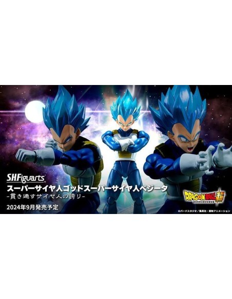 DRAGON BALL SUPER SSGOD SS VEGETA FIGURE