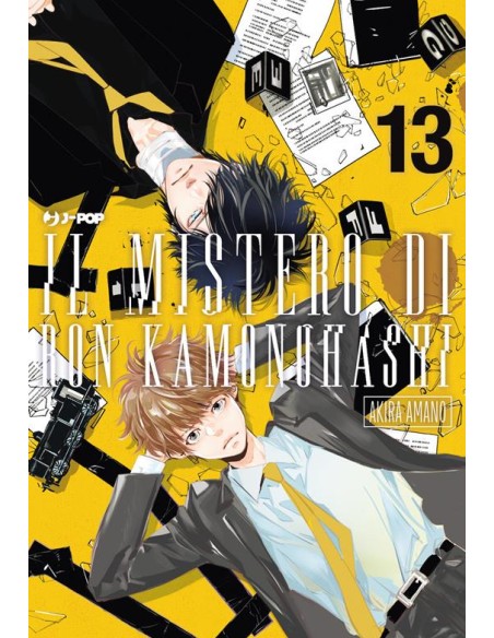 IL MISTERO DI RON KAMONOHASHI 13 (di 19)
