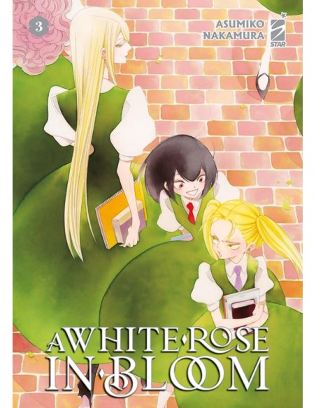 A WHITE ROSE IN BLOOM 3 - QUEER 90