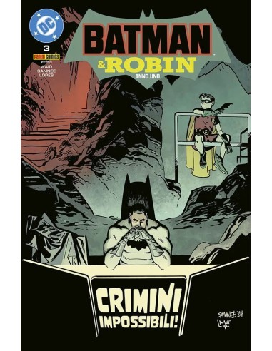 BATMAN E ROBIN: ANNO UNO 3 (di 12)