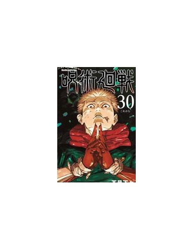 JUJUTSU KAISEN SORCERY FIGHT 30 - MANGA HERO 65