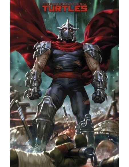 TEENAGE MUTANT NINJA TURTLES (2024) 5 VARIANT DI DERRICK CHEW