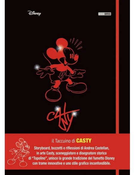 IL TACCUINO DI CASTY