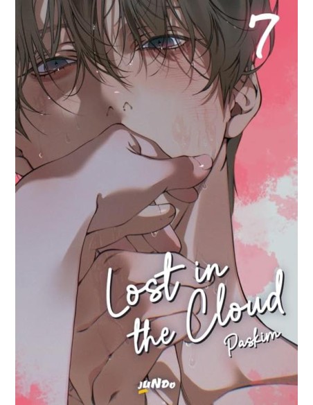 LOST IN THE CLOUD 7
