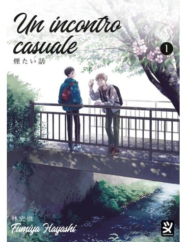 UN INCONTRO CASUALE 1