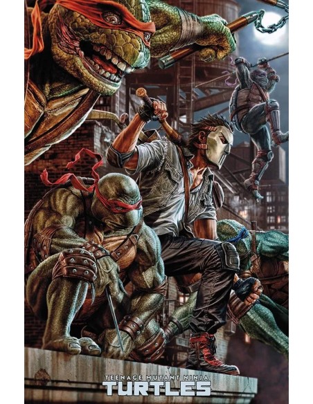 TEENAGE MUTANT NINJA TURTLES (2024) 6 VARIANT DI LEE BERMEJO