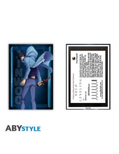 SOLO LEVELING - STANDARD MAGNET - JINWOO