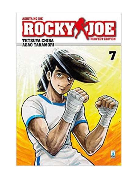 ROCKY JOE PERFECT EDITION 7 (di 13)