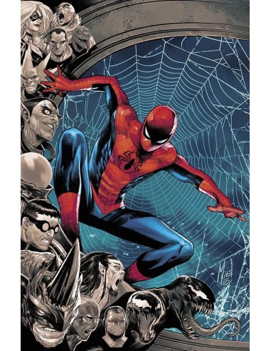 SPIDER-MAN 874 VARIANT DI MARCO CHECCHETTO - AMAZING SPIDER-MAN 1