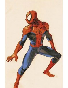 SPIDER-MAN 876 VS. CAPCOM VARIANT SPIDER-MAN - AMAZING...