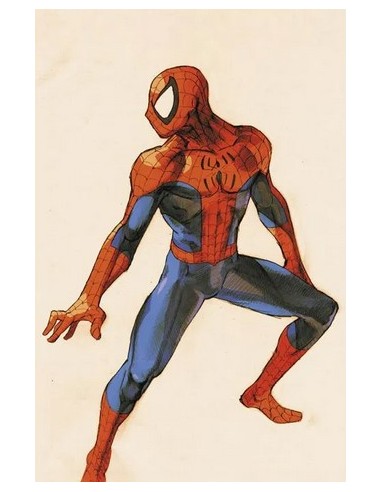 SPIDER-MAN 876 VS. CAPCOM VARIANT SPIDER-MAN - AMAZING SPIDER-MAN 3
