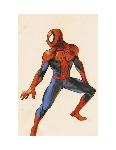 SPIDER-MAN 876 VS. CAPCOM VARIANT SPIDER-MAN - AMAZING SPIDER-MAN 3