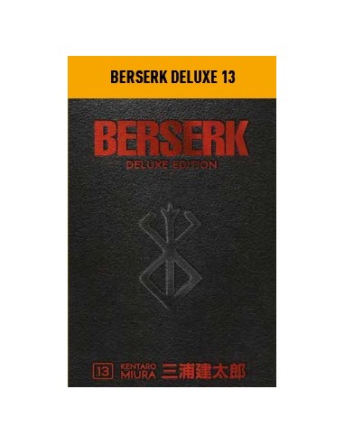 BERSERK DELUXE EDITION 13