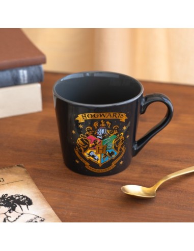 HARRY POTTER - HOGWARTS - TAZZA PREMIUM