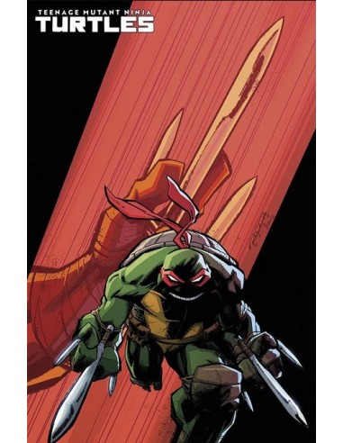 TEENAGE MUTANT NINJA TURTLES (2024) 10 VARIANT...