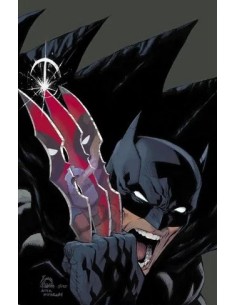 DEADPOOL/BATMAN - VARIANT DI RYAN STEGMAN