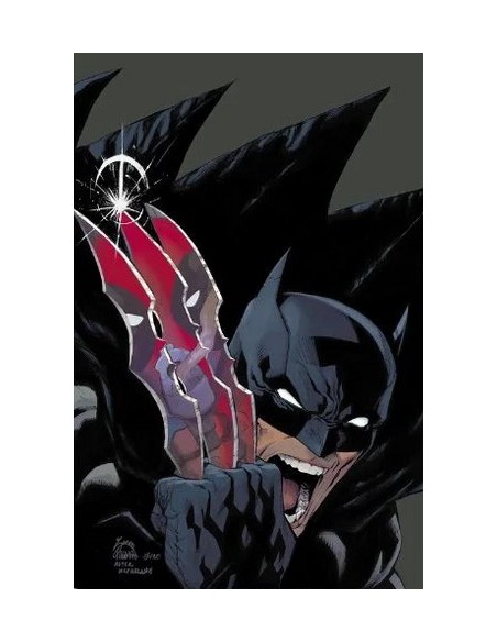 DEADPOOL/BATMAN - VARIANT DI RYAN STEGMAN