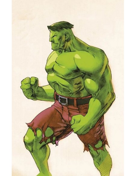L`INCREDIBILE HULK 27 VS. CAPCOM VARIANT - HULK - HULK & I DIFENSORI 130