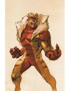 WOLVERINE 467 VS. CAPCOM VARIANT SABRETOOTH - WOLVERINE 12