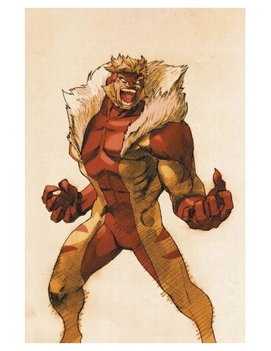 WOLVERINE 467 VS. CAPCOM VARIANT SABRETOOTH -...